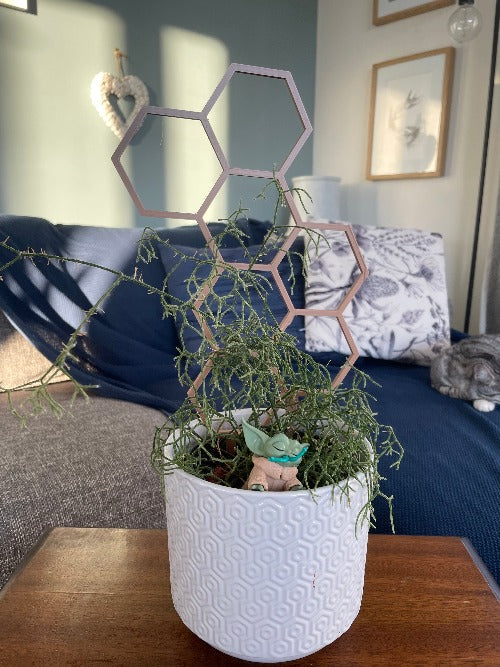 Indoor plant large honeycomb trellis - 3D Printed - Design Fusion