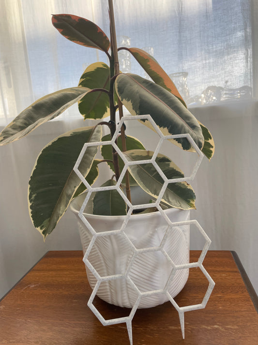 Indoor plant medium honeycomb trellis - 3D Printed - Design Fusion