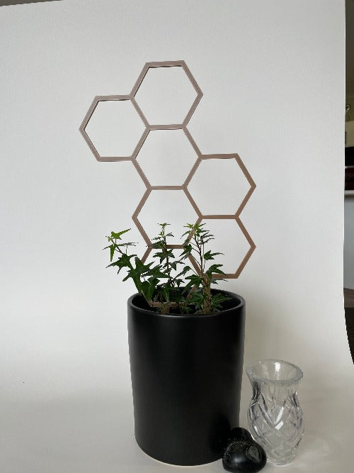 Indoor plant large honeycomb trellis - 3D Printed - Design Fusion