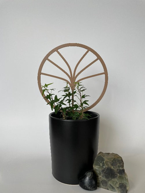 Indoor plant circle tree trellis - 3D Printed - Design Fusion